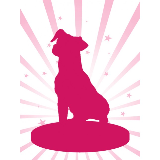 100% Handmade - Design Your Polymer Clay Pet Bobblehead